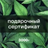 Подарочный сертификат на 3000 ₽