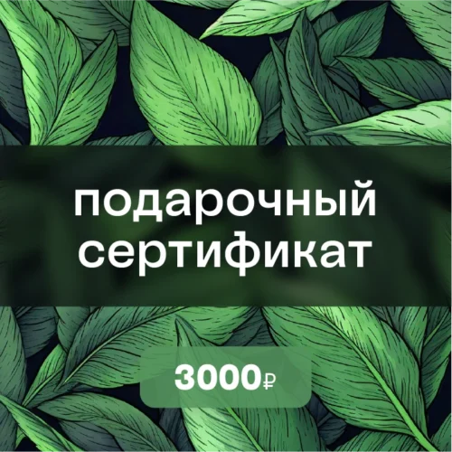 gift_card_3000 Подарочный сертификат на 3000 ₽