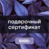 gift_card_5000 Подарочный сертификат на 5000 ₽